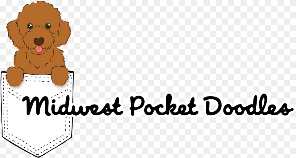 Midwest Pocket Doodles 2 Portable Network Graphics, Animal, Lion, Mammal, Wildlife Free Png
