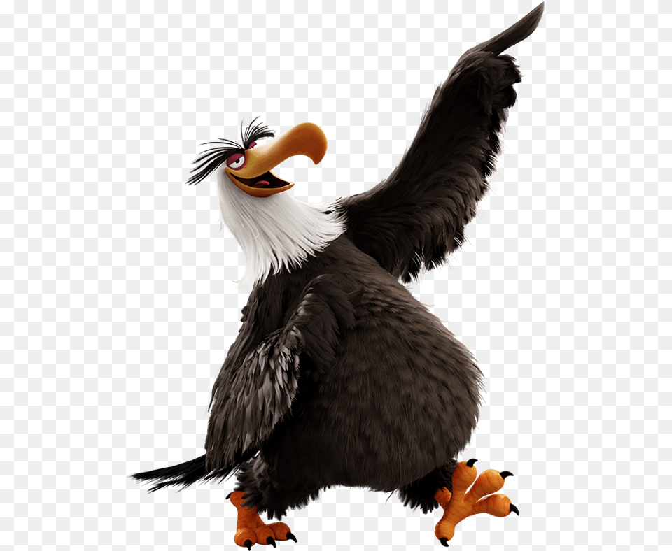 Mighty Eagle Angry Birds Bald Eagle, Animal, Beak, Bird Free Png Download