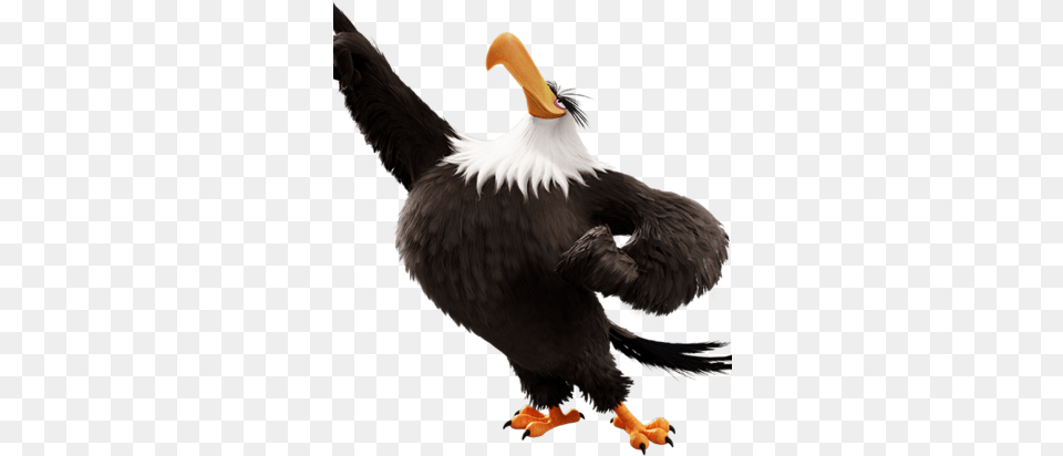 Mighty Eagle Angry Birds Eagle, Animal, Beak, Bird Free Png
