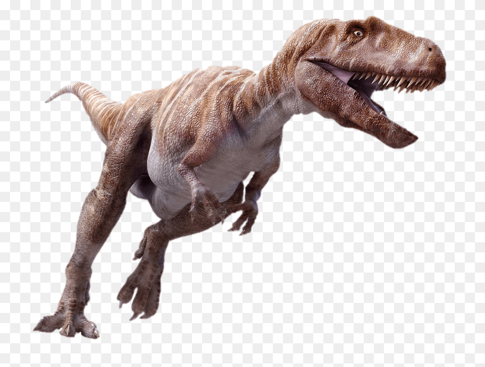 Mighty Megalosaurus, Animal, Dinosaur, Reptile, T-rex Png
