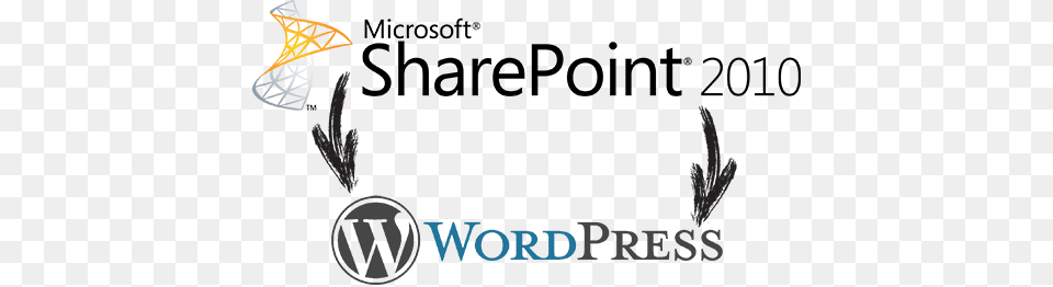 Migrating From Sharepoint To Wordpress Microsoft, Light, Flare Free Transparent Png