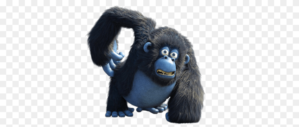 Miguel The Gorilla Scratching Himself, Animal, Ape, Mammal, Wildlife Free Png Download