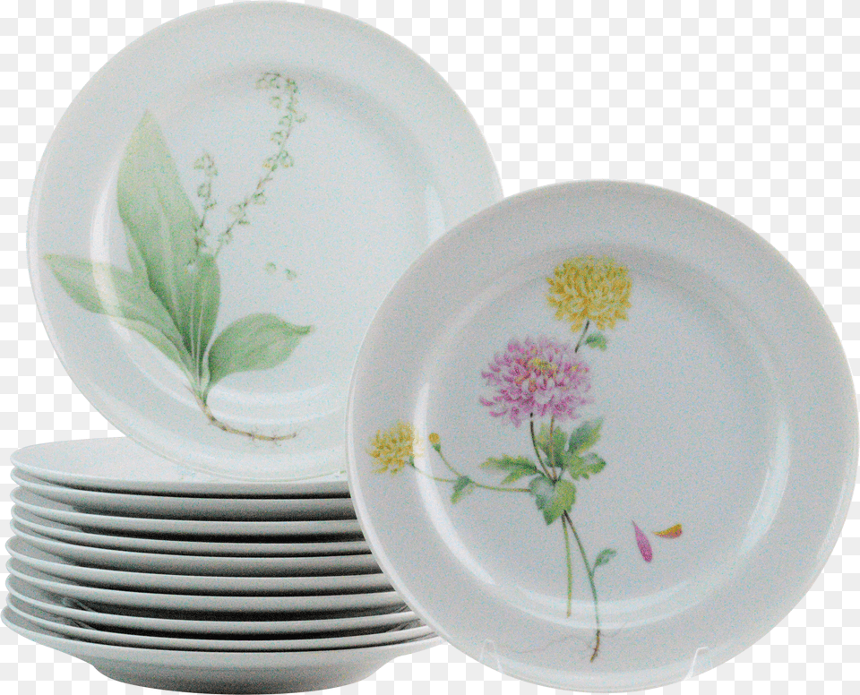 Mikasa Flower Of The Month Dinner Plate, Computer, Electronics, Tablet Computer, Text Free Transparent Png