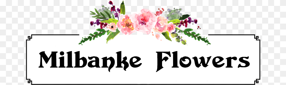 Milbanke Flowers Ltd Found By Create Leeds, Art, Plant, Pattern, Graphics Free Transparent Png