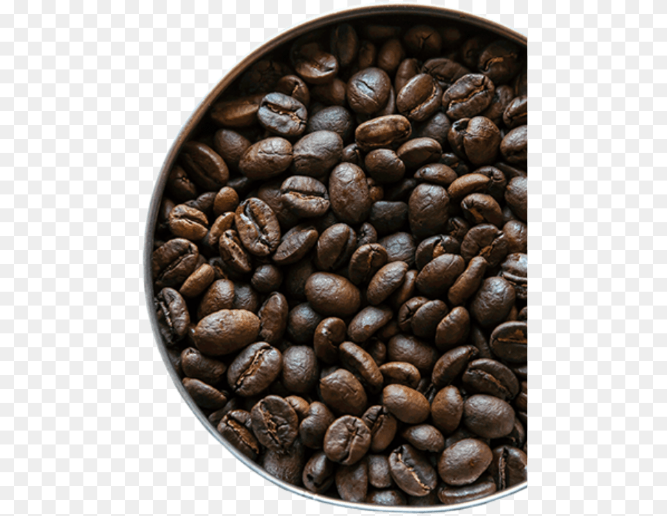 Mild Java Coffee, Beverage, Coffee Beans Free Png Download