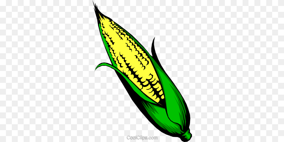 Milho Em Espiga Livre De Direitos Vetores Clip Art Illustration, Corn, Food, Grain, Plant Png Image