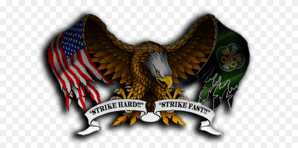 Military Eagle American Flag Pow Mia, Animal, Bird, Person Free Png