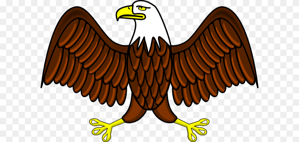 Military Eagle Cliparts Bald Eagle Clip Art, Animal, Beak, Bird, Kangaroo Free Png Download