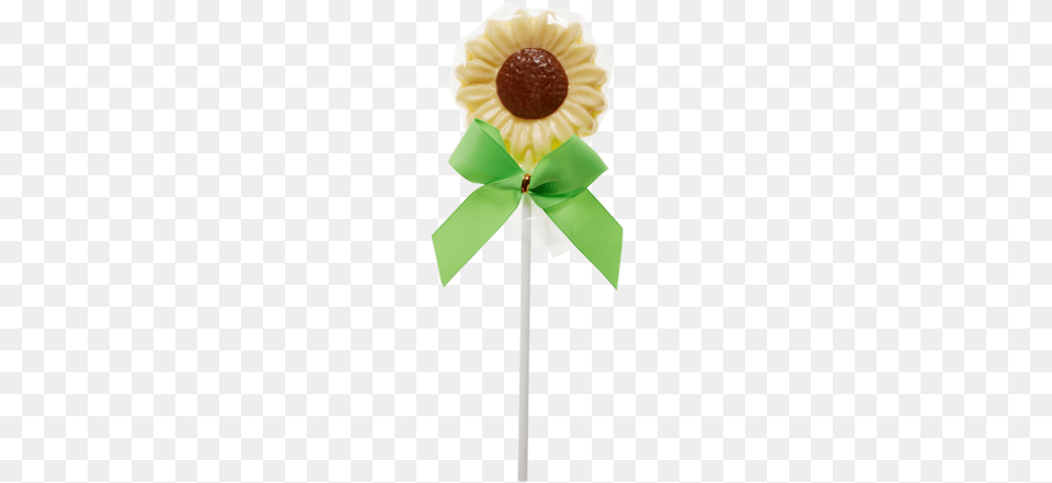 Milk And White Chocolate Daisy Pops Sunflower, Candy, Food, Sweets, Lollipop Free Png Download