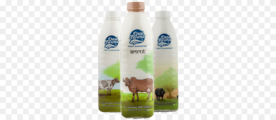 Milk Bottle, Beverage, Food, Dairy, Mammal Png Image