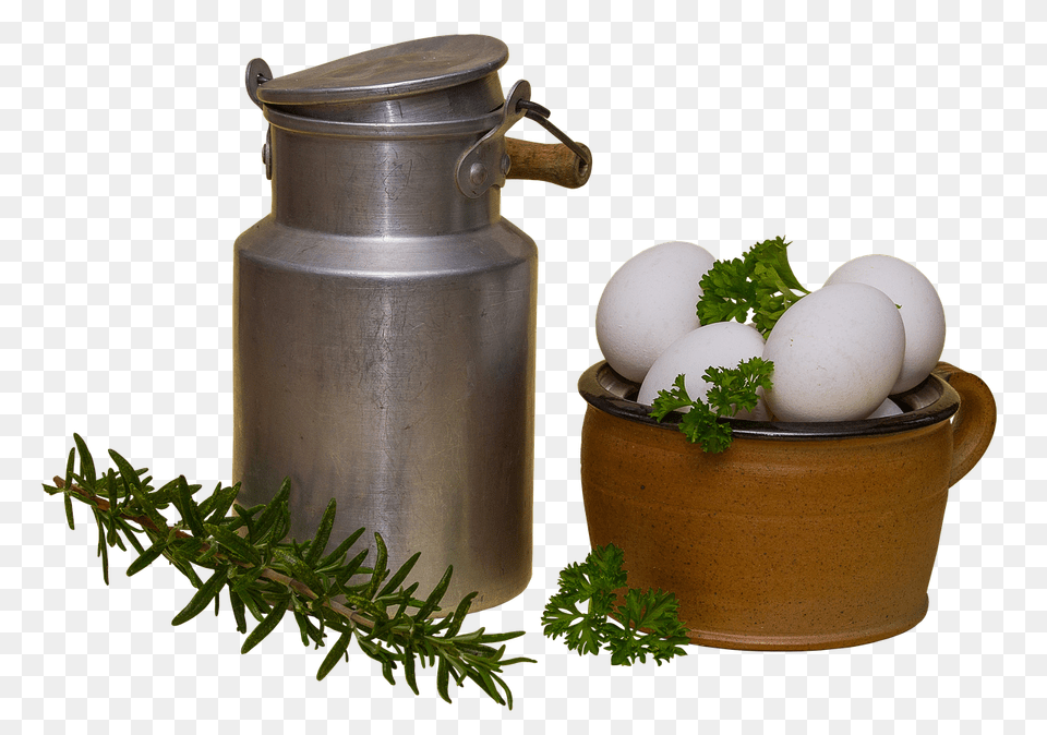 Milk Can Egg, Food, Tin, Plant Free Png