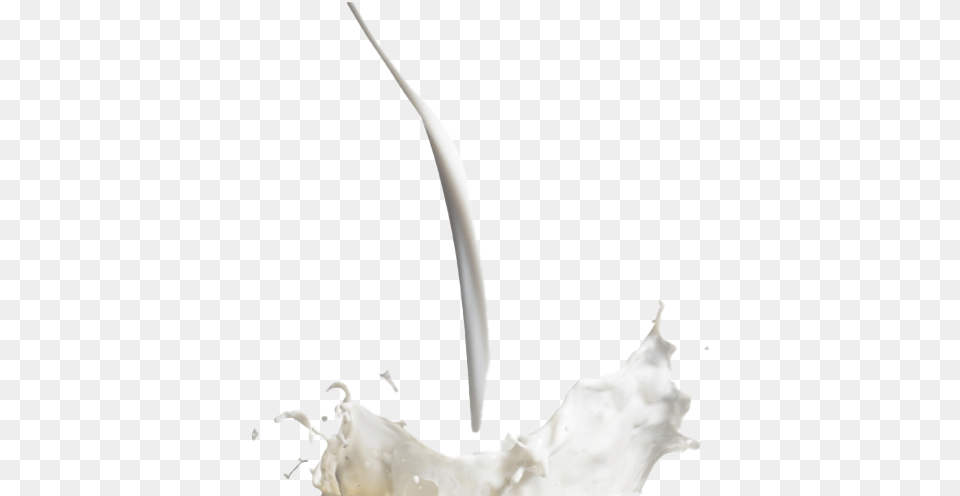 Milk Splash Hd Milk, Beverage, Dairy, Food Png Image