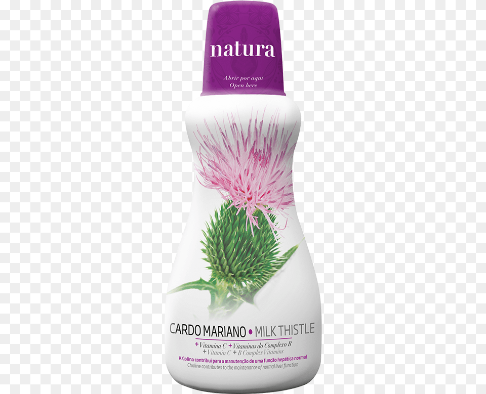 Milk Thistle Cosmetics, Flower, Herbal, Herbs, Plant Free Transparent Png