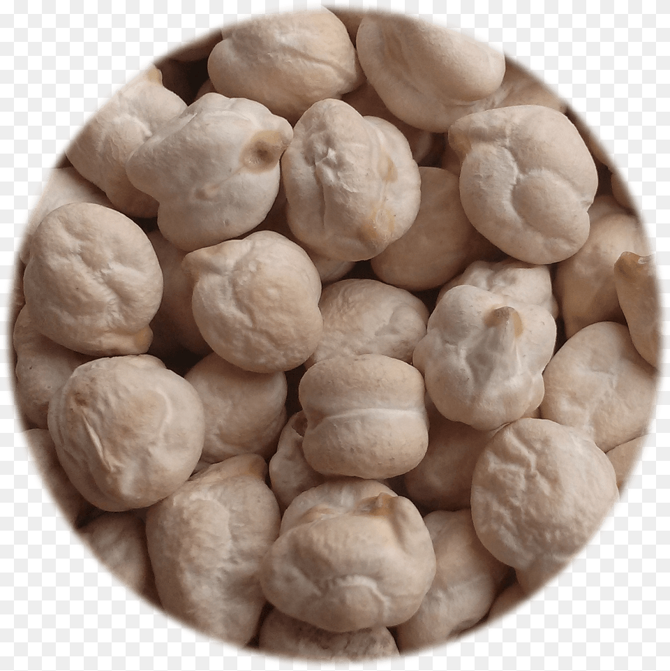 Milky White Chickpea Dessert, Plate, Food, Produce Png Image