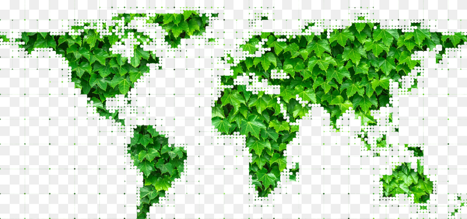 Million For Energy Efficient Vehicles Big History World Zones, Green, Leaf, Plant, Vine Png