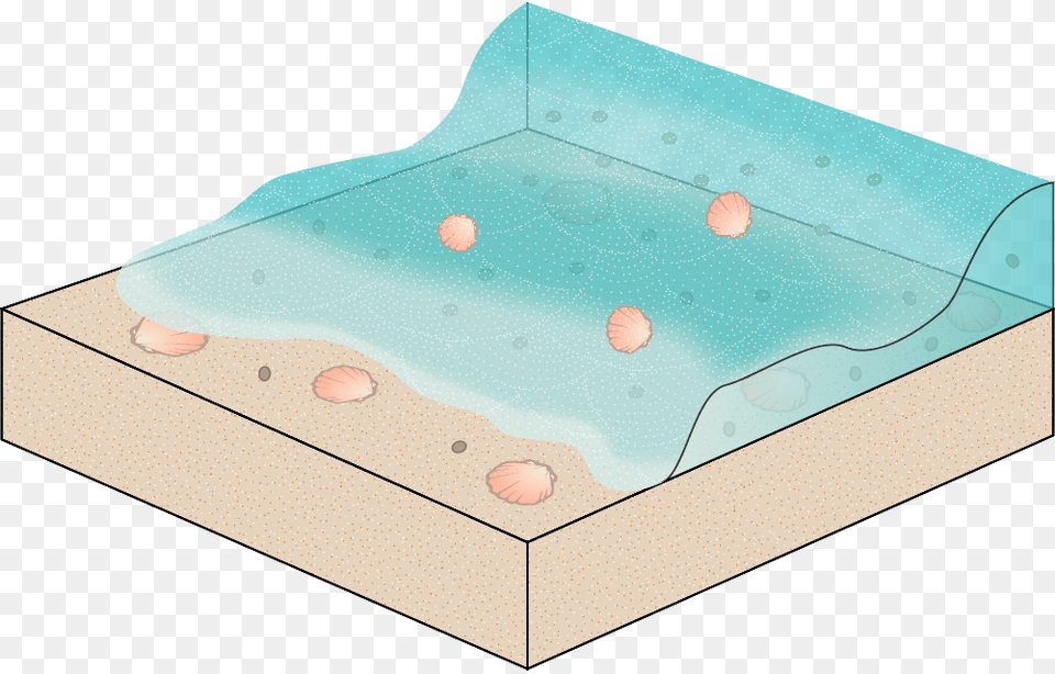 Million Years Ago Showing Sea Animals Buried In Wood, Hot Tub, Tub Free Transparent Png