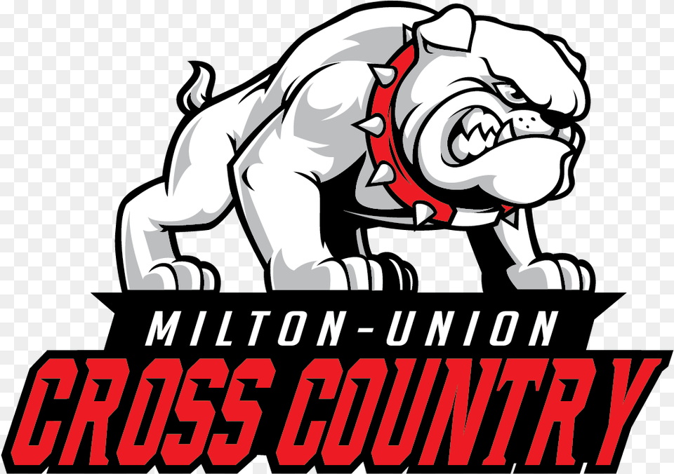 Milton Union Bulldogs, Animal, Bear, Mammal, Wildlife Png Image