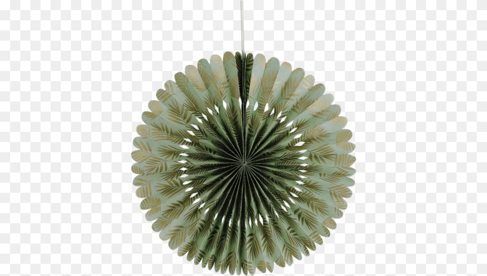 Milwaukee Mitre Saw Blade, Plant, Chandelier, Lamp Png