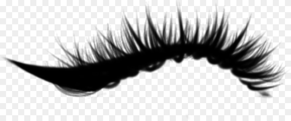 Mily Ciliosdeboneca Ciliosgrande Eyelashes Eyelash Extensions, Gray Png Image