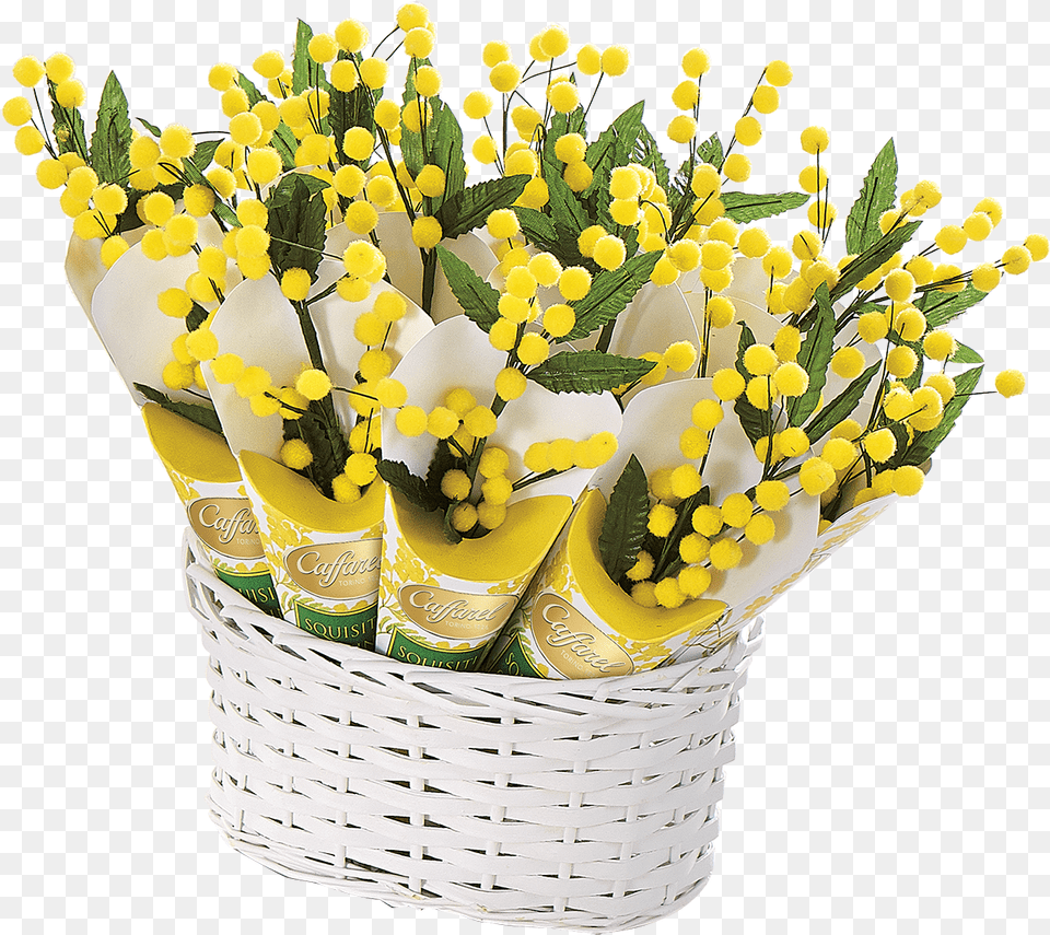 Mimosa Caffarel Bouquet, Flower, Flower Arrangement, Flower Bouquet, Plant Free Png