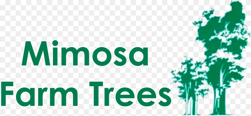 Mimosa Farm Trees Kingdom Of Fools Story, Green, Plant, Vegetation, Land Png Image