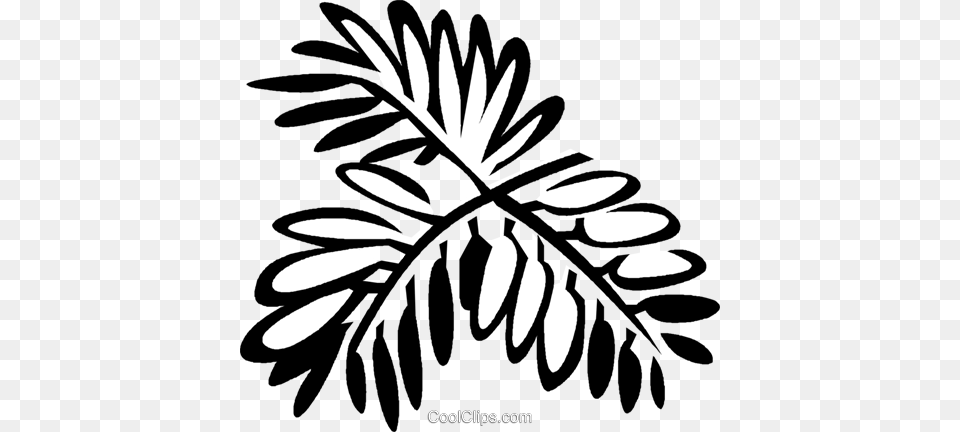 Mimosa Illustration, Leaf, Plant, Outdoors, Stencil Free Png Download