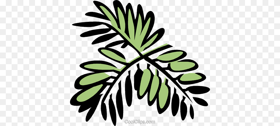 Mimosa Royalty Vector Clip Art Illustration, Leaf, Plant, Vegetation, Flower Png