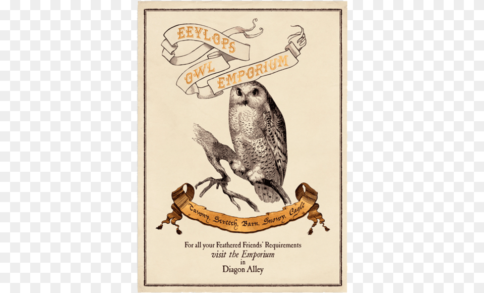 Minalima Harry Potter Print, Animal, Beak, Bird, Accipiter Free Png