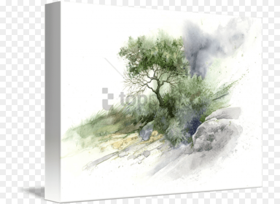 Mind Of Watercolor, Art, Painting, Plant, Tree Png Image