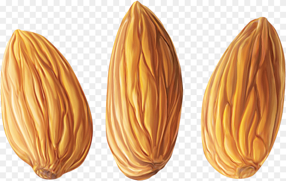 Mindal, Almond, Food, Grain, Produce Free Png