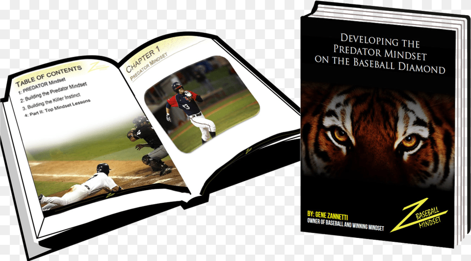 Mindset Baseball Diamond, Book, Advertisement, Publication, Poster Free Png Download