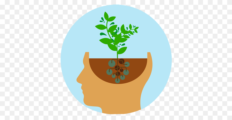 Mindset Matters Elgl, Herbal, Herbs, Jar, Leaf Png