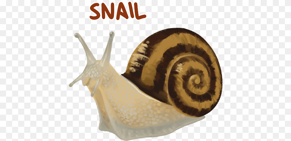 Minecraft, Animal, Invertebrate, Snail, Smoke Pipe Png