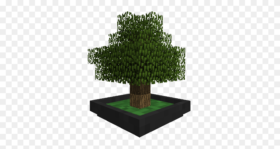 Minecraft Bonsai, Plant, Tree, Potted Plant, Vegetation Free Png