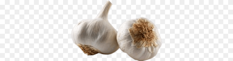 Mineralized Native Garlic Elephant Garlic, Food, Produce, Plant, Vegetable Png