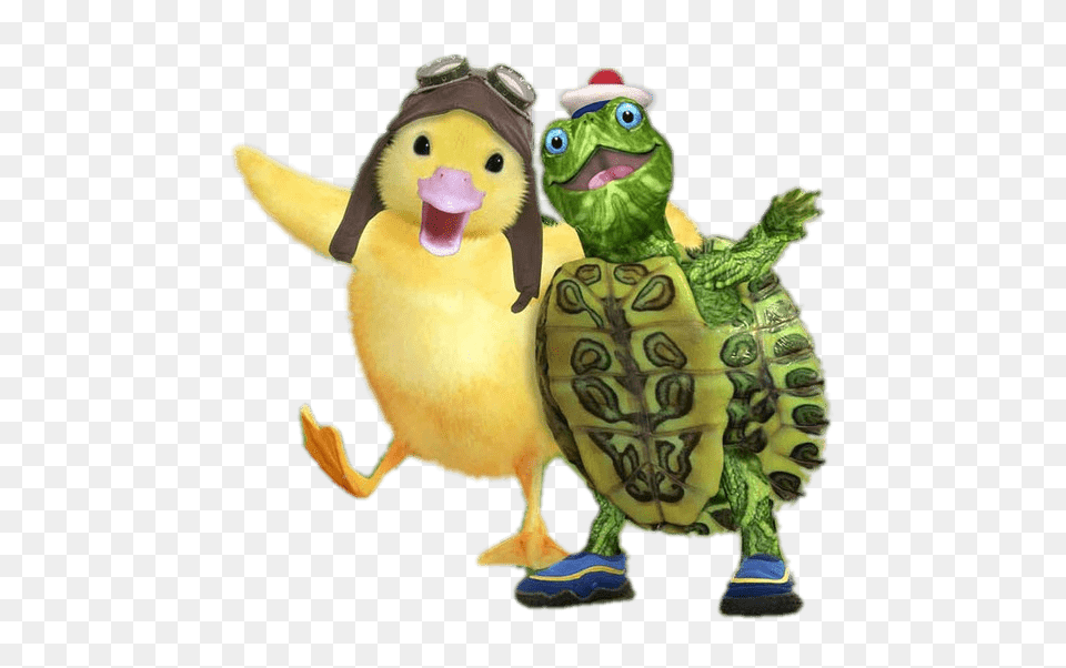 Ming Ming And Tuck Hugging, Animal, Reptile, Sea Life, Tortoise Free Transparent Png