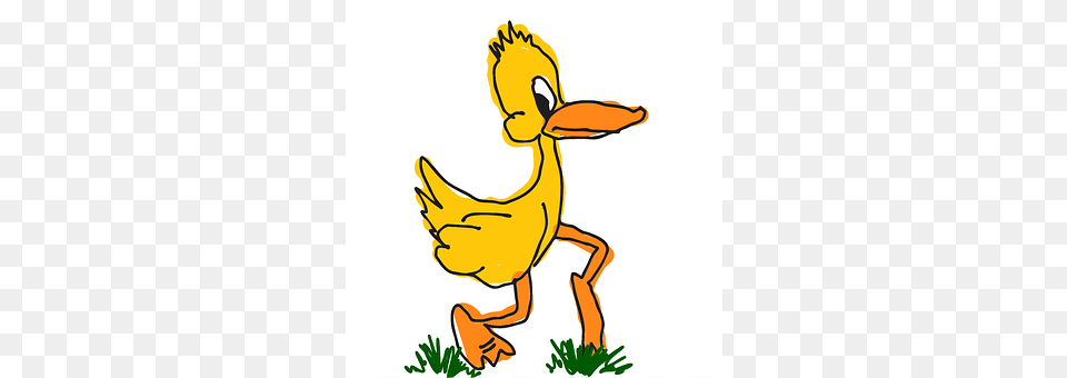 Mini Animal, Beak, Bird, Waterfowl Free Png Download