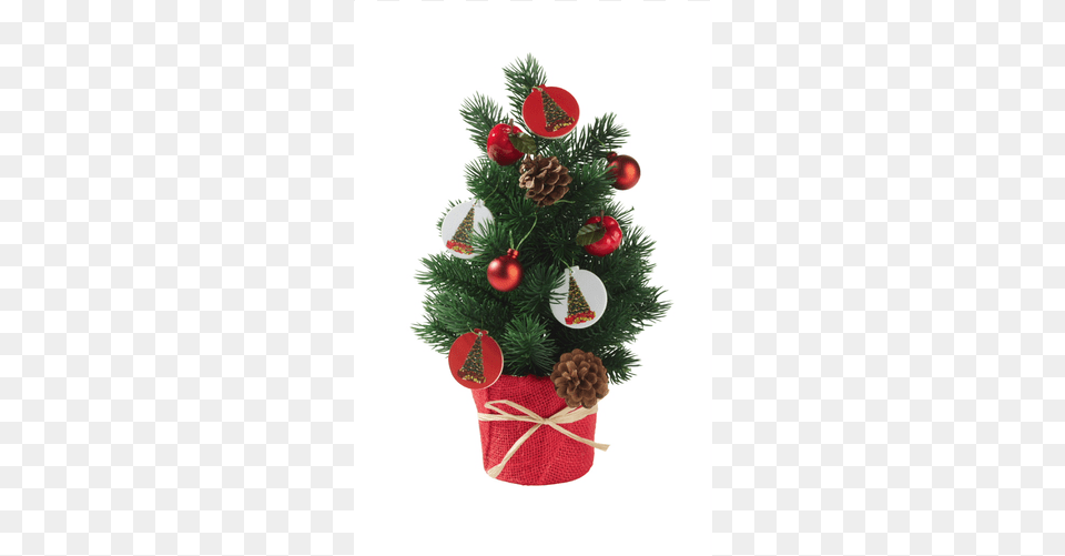 Mini Christmas Tree Red Christmas Tree Lidl, Plant, Christmas Decorations, Festival, Conifer Free Png Download