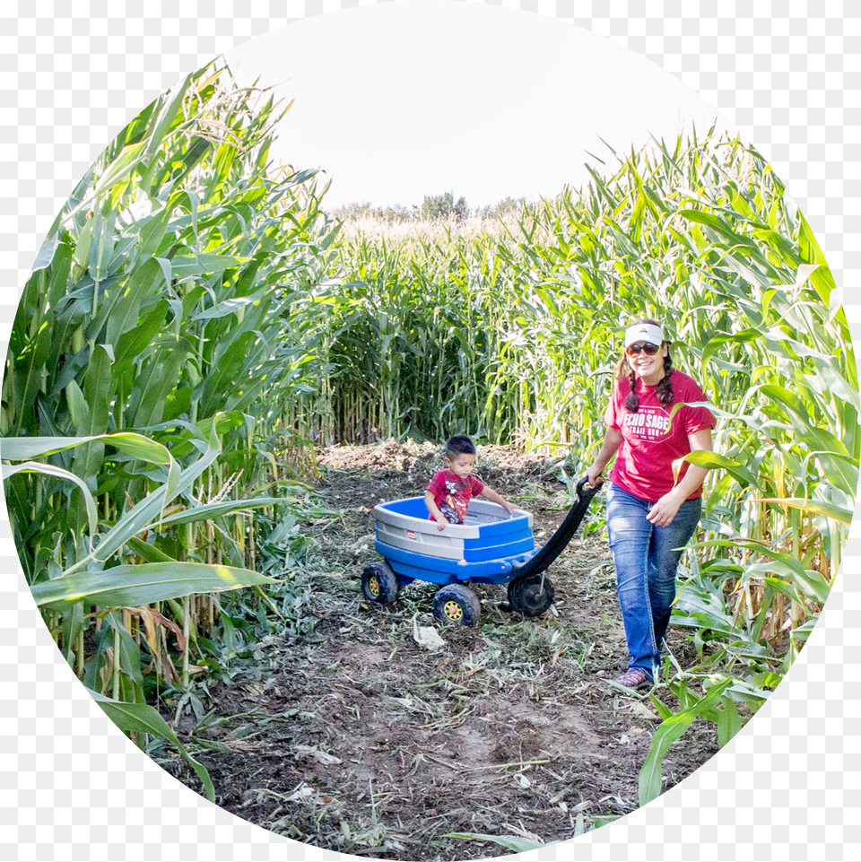 Mini Corn Maze, Head, Soil, Portrait, Pants Free Transparent Png