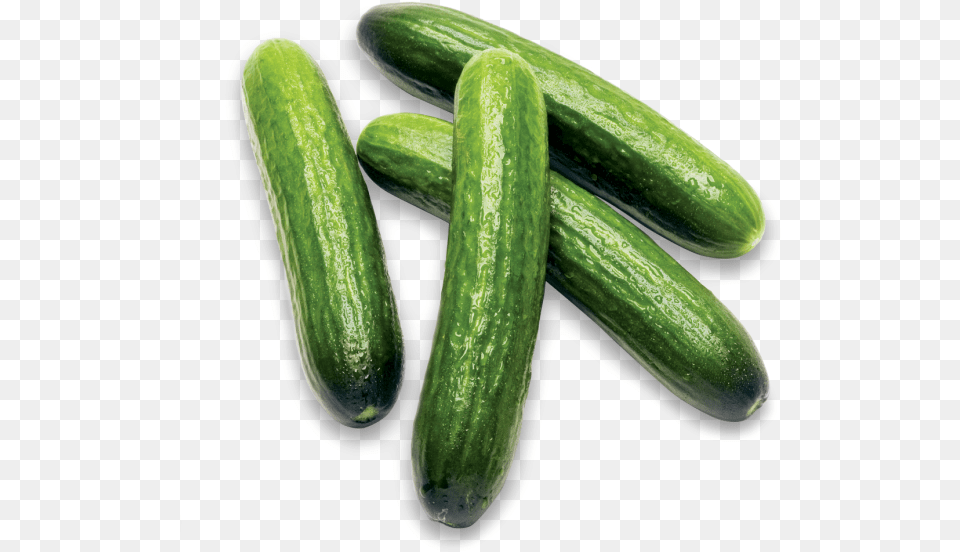 Mini Cucumbers Cucumber, Food, Plant, Produce, Vegetable Free Png