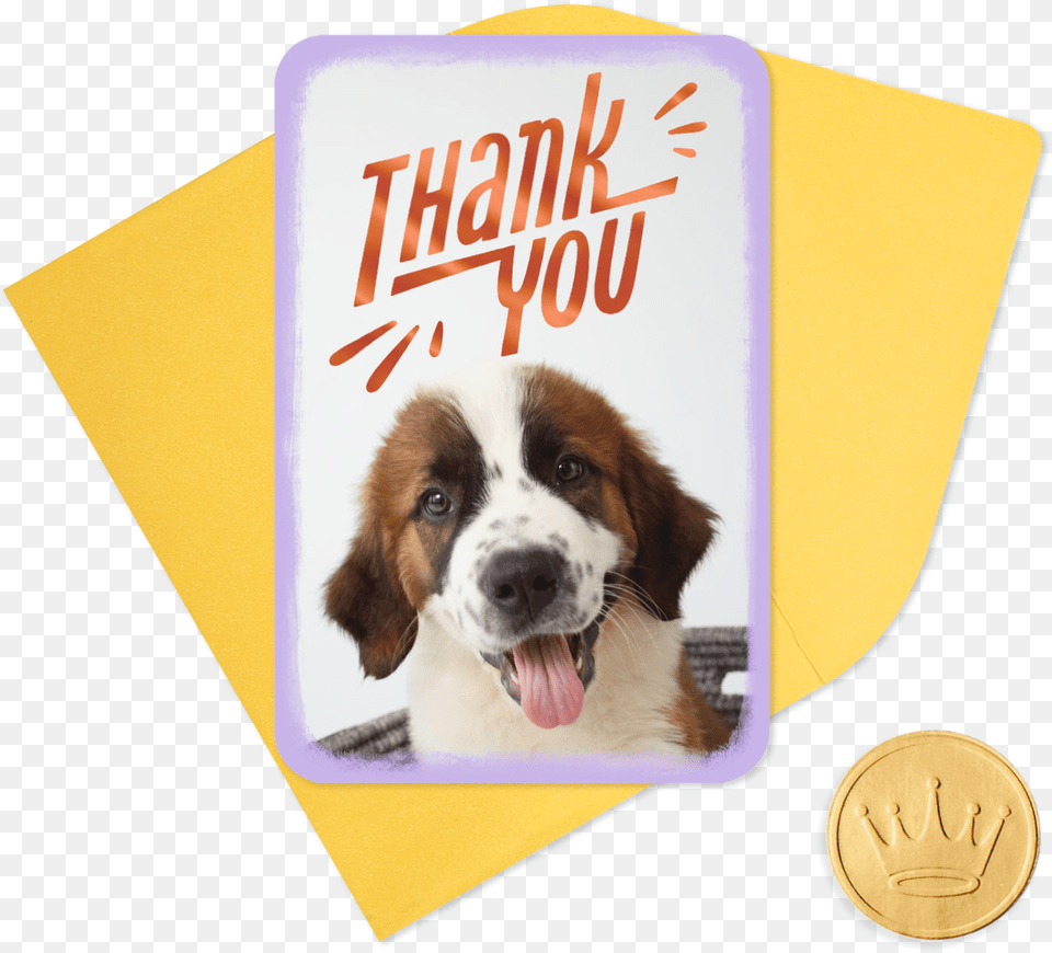 Mini Cute Puppy Thank You Moscow Watchdog, Animal, Canine, Dog, Mammal Png Image