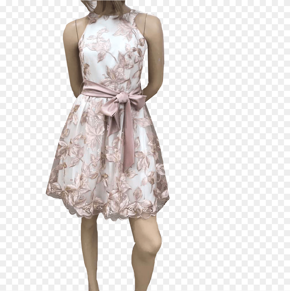 Mini Dress With Tulle And Shoulders Cocktail Dress, Clothing, Adult, Evening Dress, Female Free Transparent Png