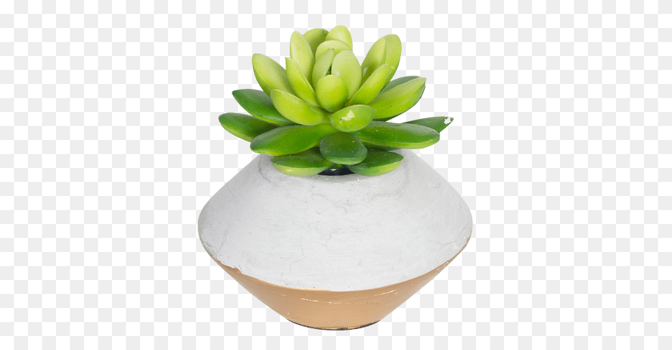 Mini Faux Succulent In Concrete Planter Gold, Jar, Plant, Potted Plant, Pottery Free Transparent Png