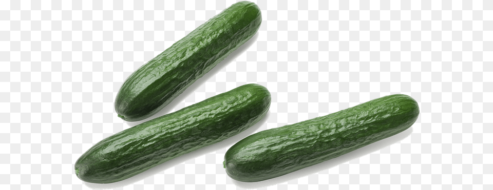 Mini Komkommers Cucumber, Food, Plant, Produce, Vegetable Png Image