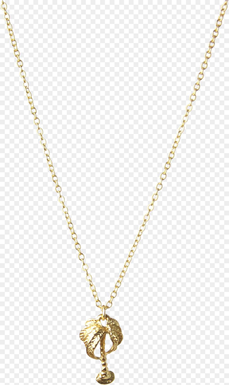 Mini Palm Tree Charm Necklace In Gold Vermeil Gold Girl Chain, Accessories, Diamond, Gemstone, Jewelry Free Png Download