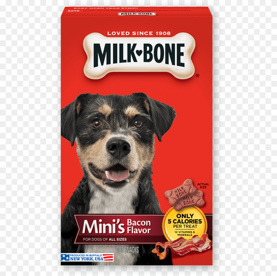 Mini S Bacon Flavor Biscuits, Advertisement, Poster, Animal, Canine Png Image