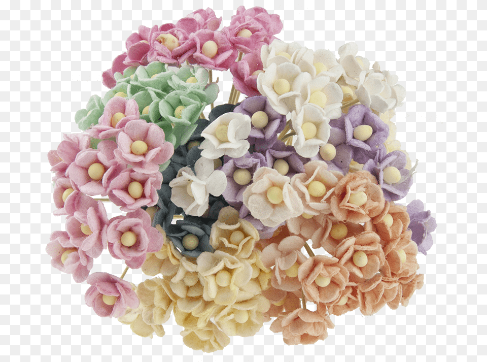 Miniature Mixed Pastel Sweetheart Blossom Flowers Bouquet, Flower, Flower Arrangement, Flower Bouquet, Plant Free Png Download