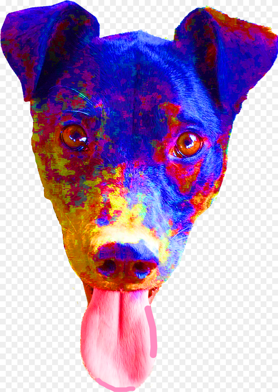 Miniature Pinscher, Body Part, Mouth, Person, Tongue Free Png Download