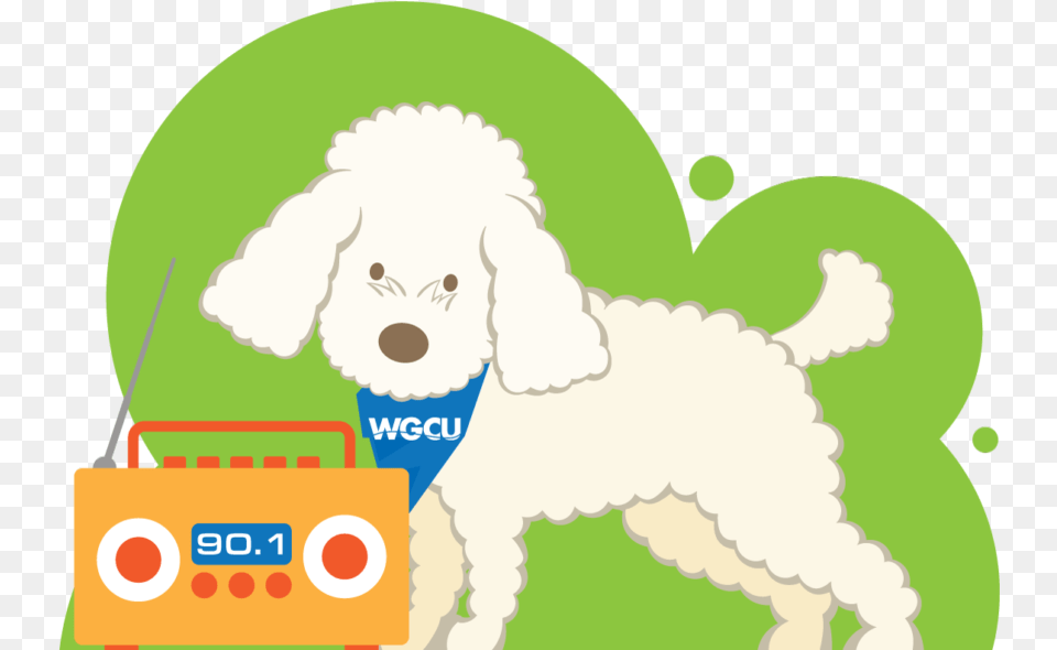 Miniature Poodle, Animal, Canine, Mammal, Pet Free Transparent Png