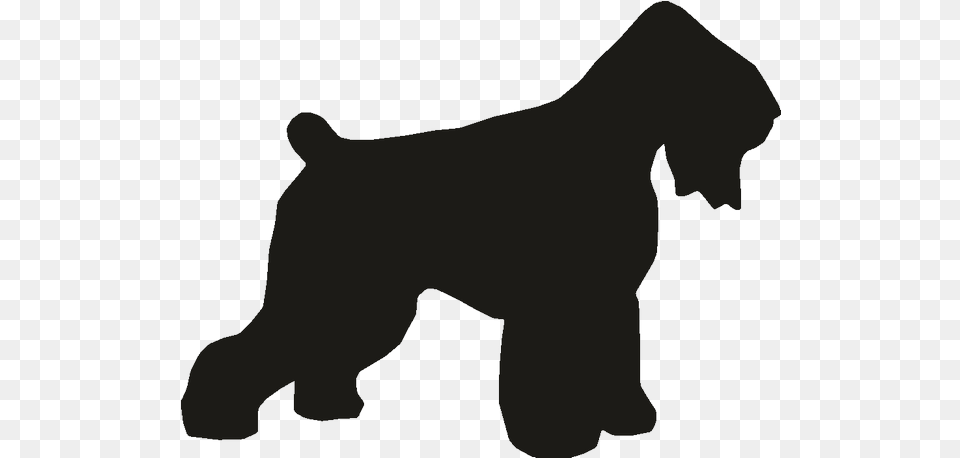 Miniature Schnauzer Dog Breed Standard Schnauzer Giant Dog Schnauzer Stencil, Animal, Canine, Mammal, Pet Free Transparent Png